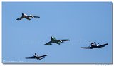 ???-15???  „Midget“ + F-86 Sabre + FW-190 A8/M + F4U-4 Corsair