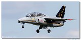 SIAI-Marchetti S211