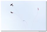 Royal Jordanian Falcons