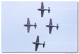 Royal Jordanian Falcons