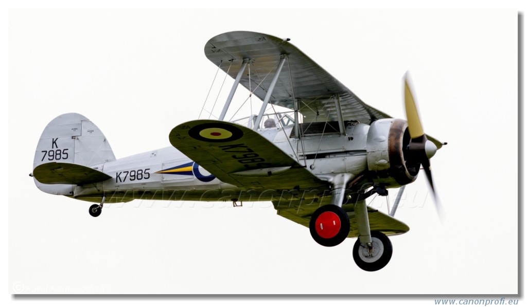Duxford 2018 - RAF 100