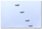 Special Flypast