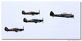 Blenheim Flight