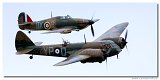 Blenheim Flight