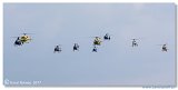 Helicopter Show 2017 