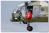 Helicopter Show 2017