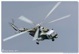 Helicopter Show 2017