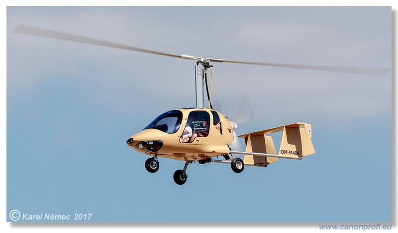 Dubov 2017