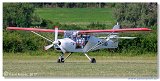 Kitfox