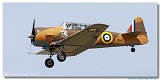 T6 Harward Wacky Wabbit 