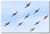 Spitfires 