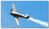 Bf109 Buchon  