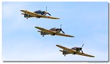 Hurricanes 