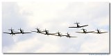 Spitfires