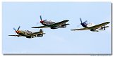Mustangs
