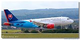 Airbus A319CJ