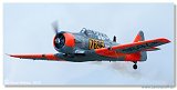 Harvard Mk. II  N696RE  Classic Trainers 