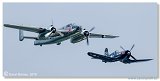 Flying Bulls 