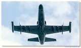 L-159A ALCA  Czech Air Force