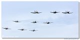 Balbo Formation 