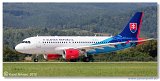 Airbus A319-115(CJ)  