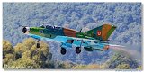 Mikoyan-Gurevich MiG-21UM Lancer B