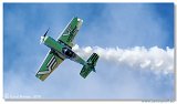 Sukhoi Su-31