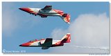 CASA C-101 - Patrulla Įguila