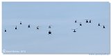 Helicopter Show 2015