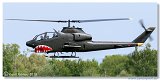 Helicopter Show 2015