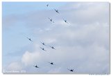 Supermarine Spitfires