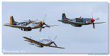 North American Mustangs