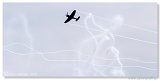 Hawker Sea Fury