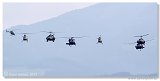 Austrian Air Force