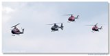Flying Bulls