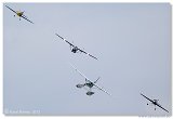 Flying Bulls