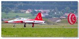 Turkish Stars 
