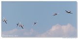 Kecskemet Airshow