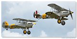Hawker Nimrod