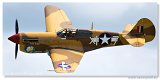 Curtiss P-40F Warhawk