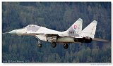 AirPower 2011 