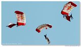 AirPower 2011 