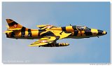 AirPower 2011
