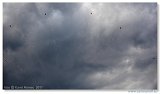 AirPower 2011