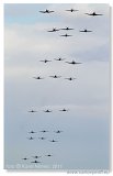 Flying Legends 2011