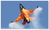 NLD 2010 
