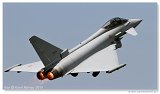 NLD 2010 