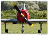 WGC 2010 - Airshow 