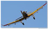 WGC 2010 - Airshow