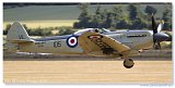 Supermarine Seafire F XVII 